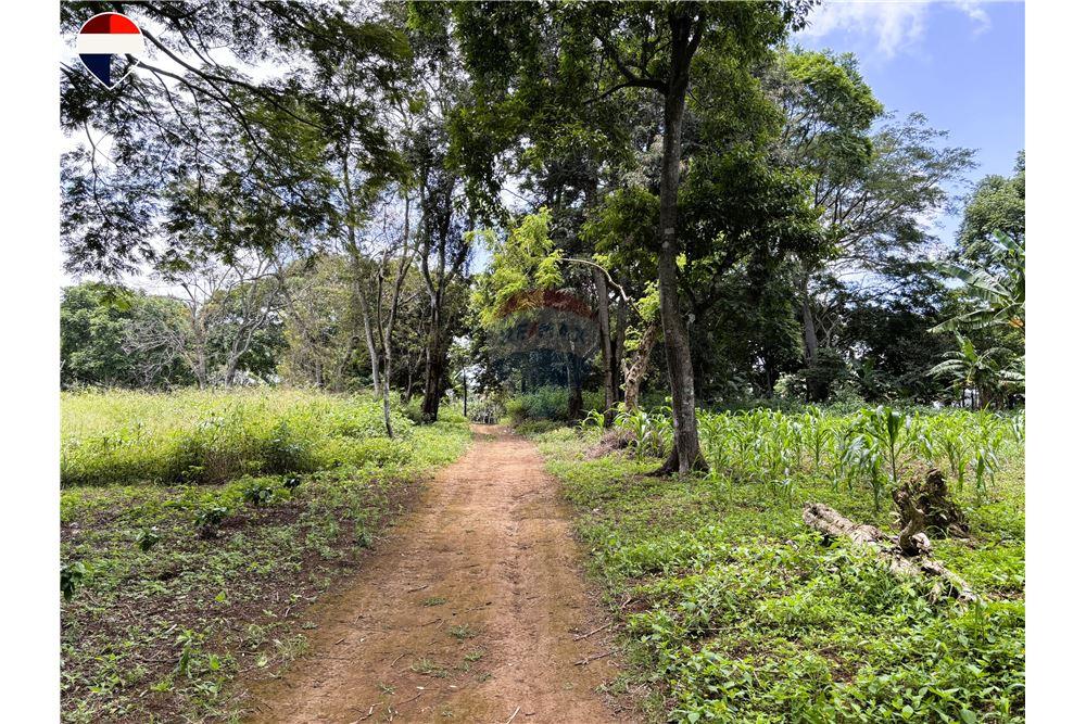 Land - For Sale - Dolores, Carazo, Nicaragua - 6 - 902521001-24