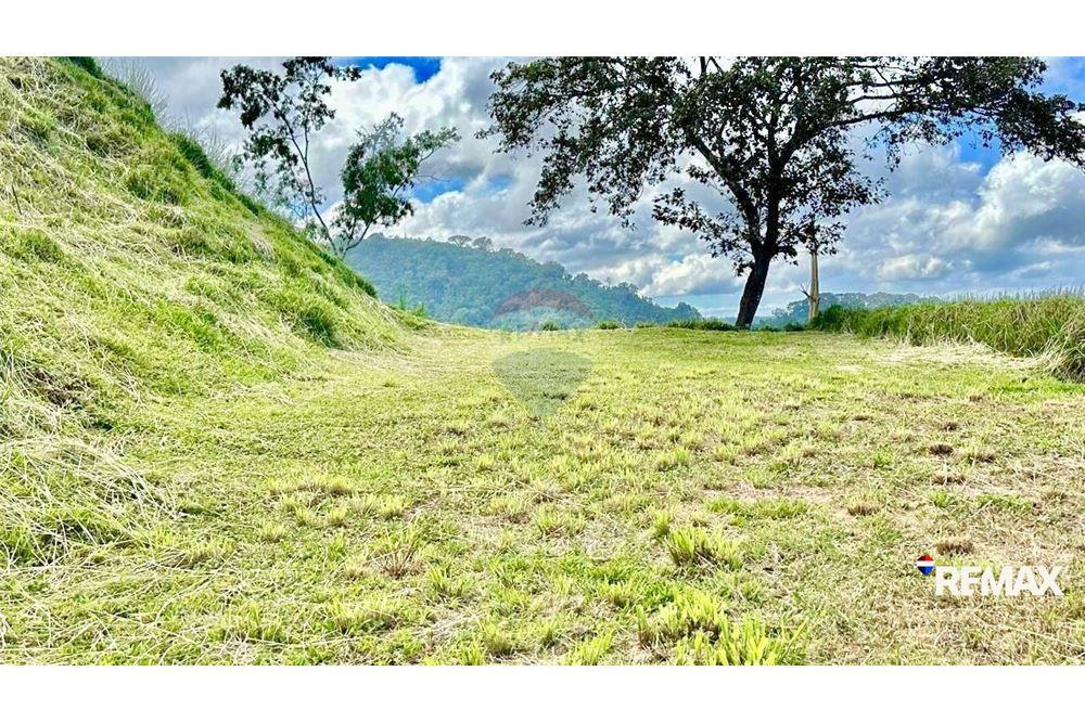 Commercial - Land - Puntarenas, Puntarenas - Puntarenas, Costa Rica - Caribbean & Central Ameri - 7 - 90168015-197