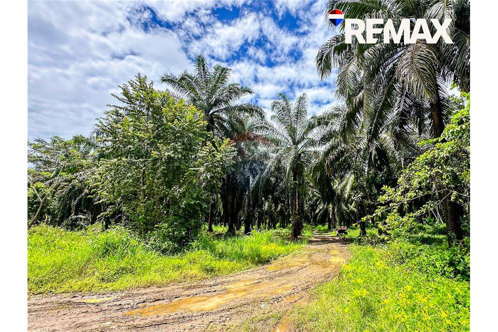 商业 - 土地 - Parrita - Esterillos, Puntarenas - Parrita, 哥斯达黎加 - Caribbean & Central Ameri - 12 - 90168050-8