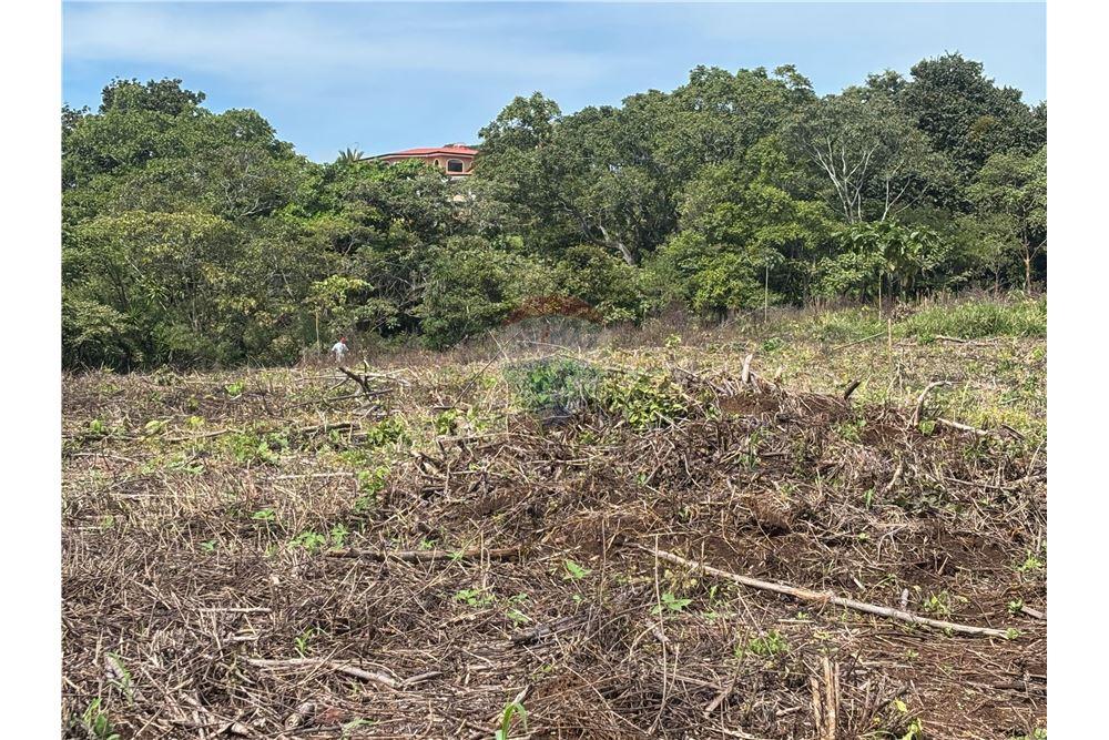 Grondstuk - Te Koop - Atenas, Alajuela- Atenas, Costa Rica - 23 - 90128002-974