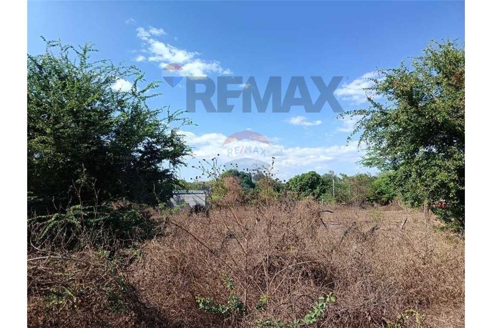 Land - For Sale - San Luis Talpa, La Paz, El Salvador - 9 - 902501005-11