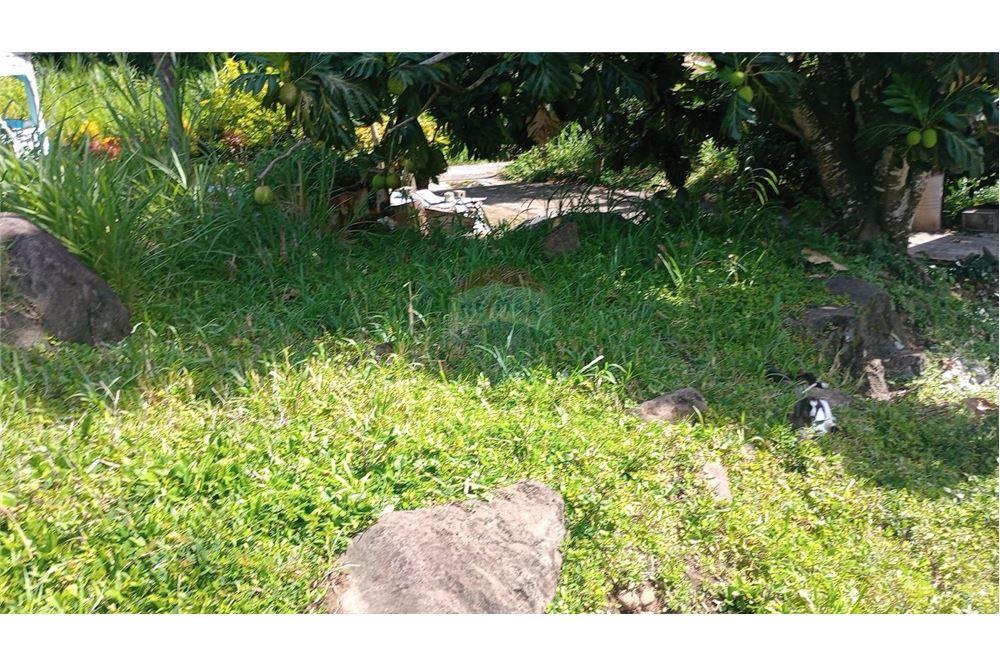 商业 - 土地 - Layou, St Vincent, St Vincent and the Grenadines - Caribbean & Central Ameri - 3 - 90109008-5