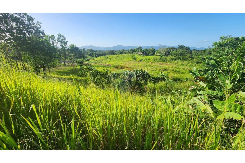 Land - For Sale - Las Lomas, Caroni, Trinidad and Tobago - 1 - 902551007-7