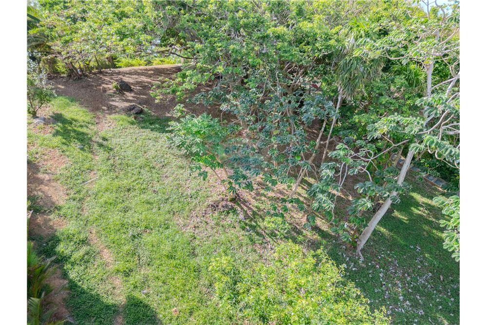 Land - For Sale - Roatan, Bay Islands, Honduras - 12 - 90143009-367