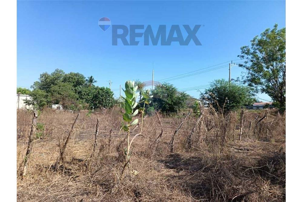 Land - For Sale - San Luis Talpa, La Paz, El Salvador - 6 - 902501005-11