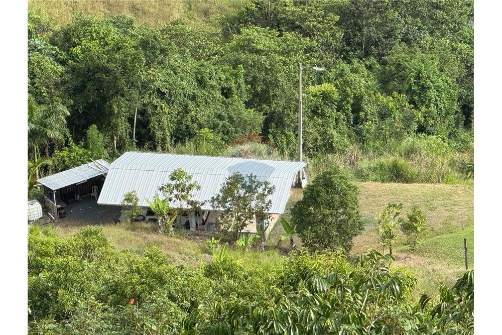 Land - For Sale - Barranquitas, Barranquitas, Puerto Rico - 3 - 90102087-2