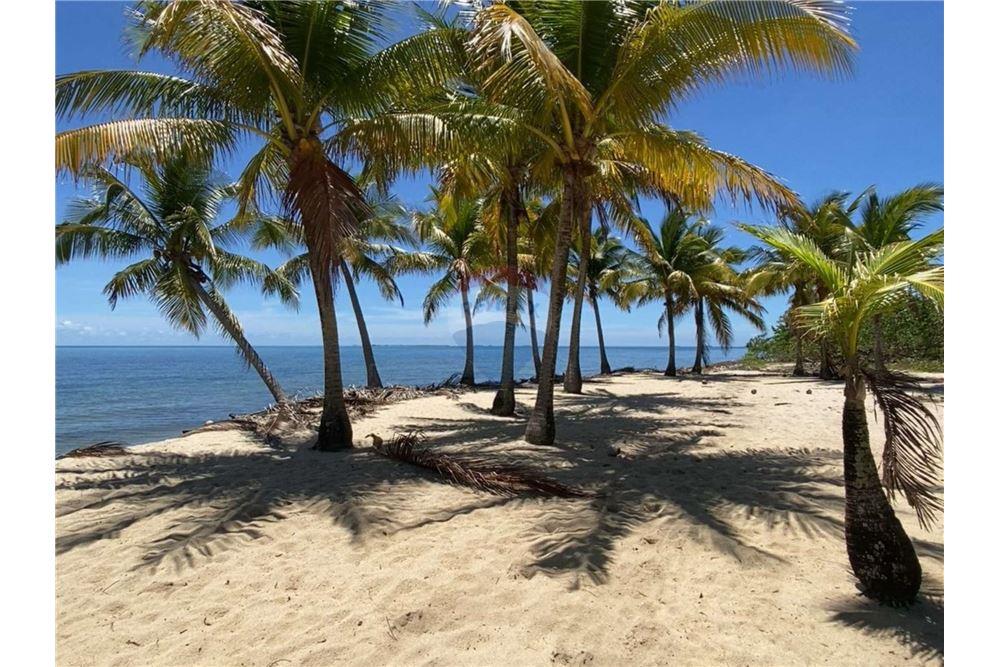 Prédio Habitacional - Vila - Seine Bight, Stann Creek District, Belize - Caribbean & Central Ameri - 35 - 90127041-5