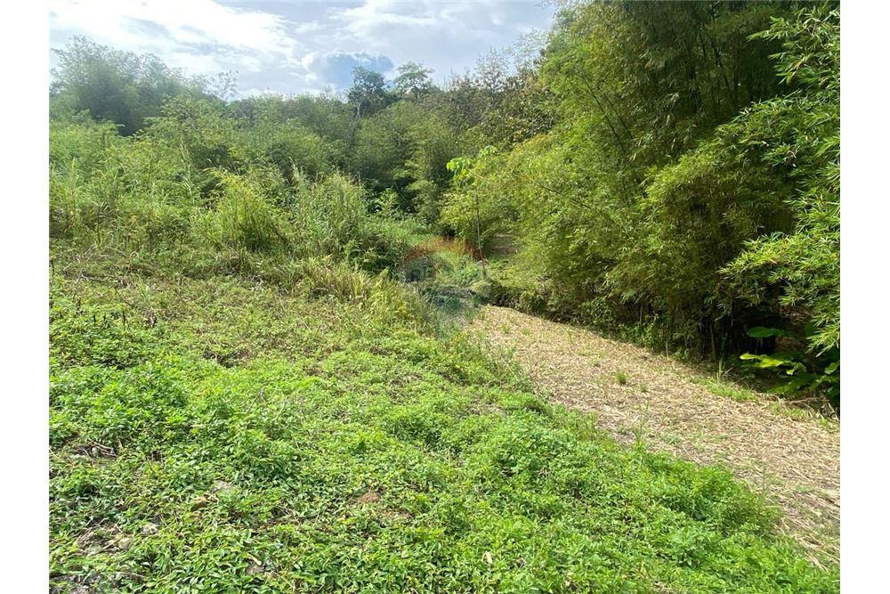 Land - For Sale - Tabaquite, Caroni, Trinidad and Tobago - 4 - 90155109-151