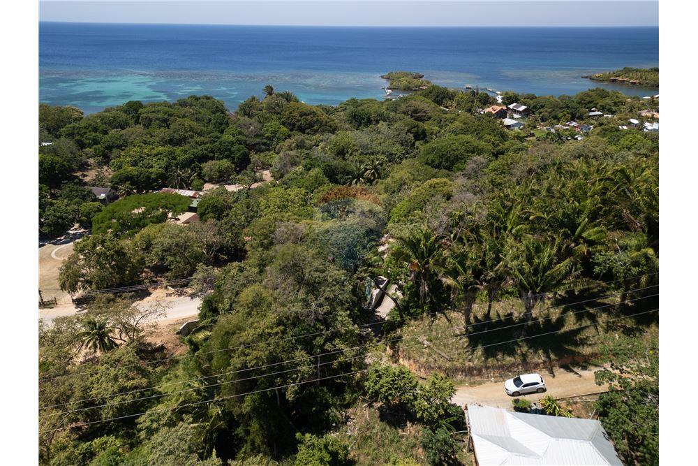 Land - For Sale - Roatan, Bay Islands, Honduras - 2 - 90143009-417