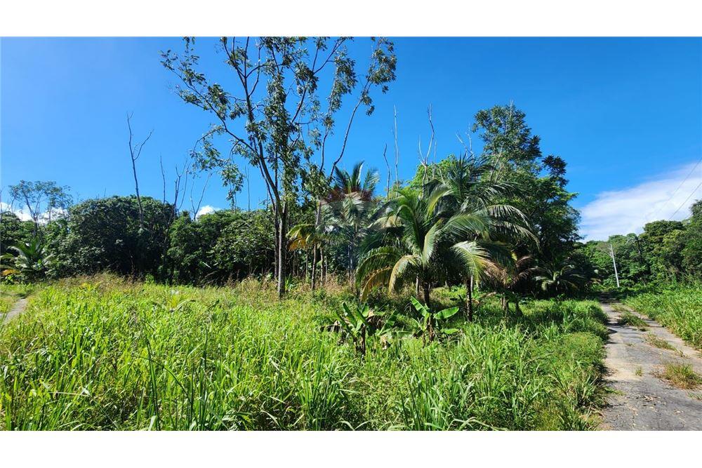 Land - For Sale - Matura, Saint Andrew, Trinidad and Tobago - 3 - 90155095-32