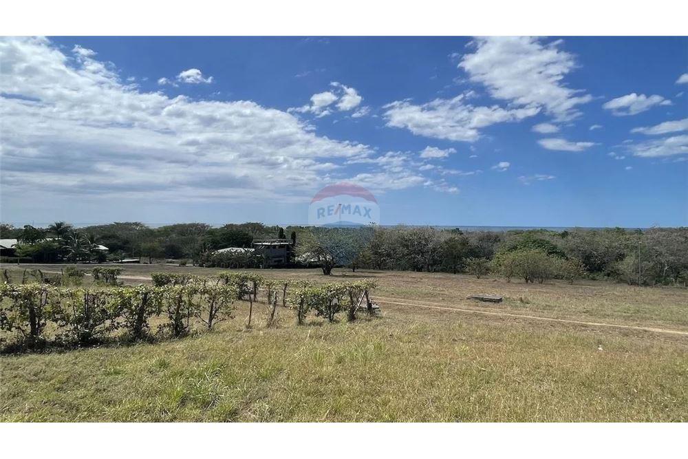 Commercial - Land - Aposentillo, Chinandega, Nicaragua - Caribbean & Central Ameri - 8 - 90119008-115