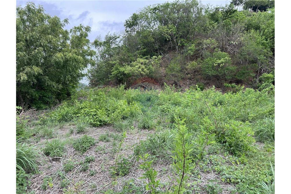 Commercial - Land - San Juan del Sur, Rivas, Nicaragua - Caribbean & Central Ameri - 5 - 90119008-116