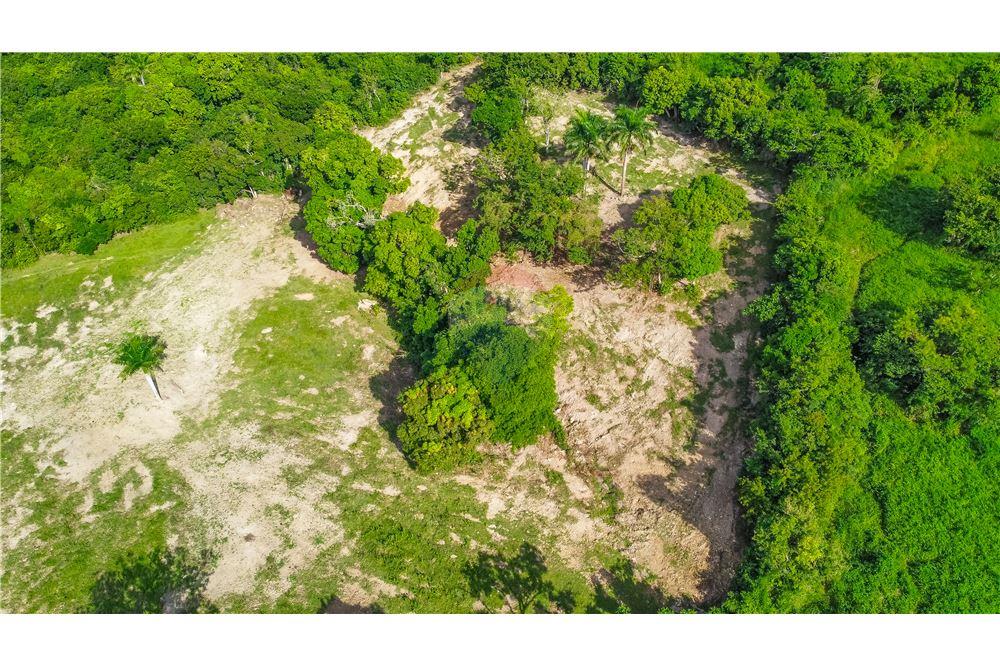 Commercial - Land - Rio Grande, Rio Grande, Puerto Rico - Caribbean & Central Ameri - 7 - 902461007-23