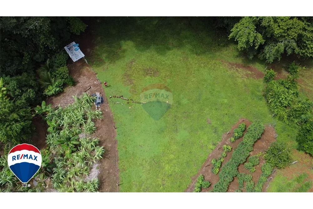 Commercio - Terreno - San José, San José, Costa Rica - Caribbean & Central Ameri - 22 - 90168030-67