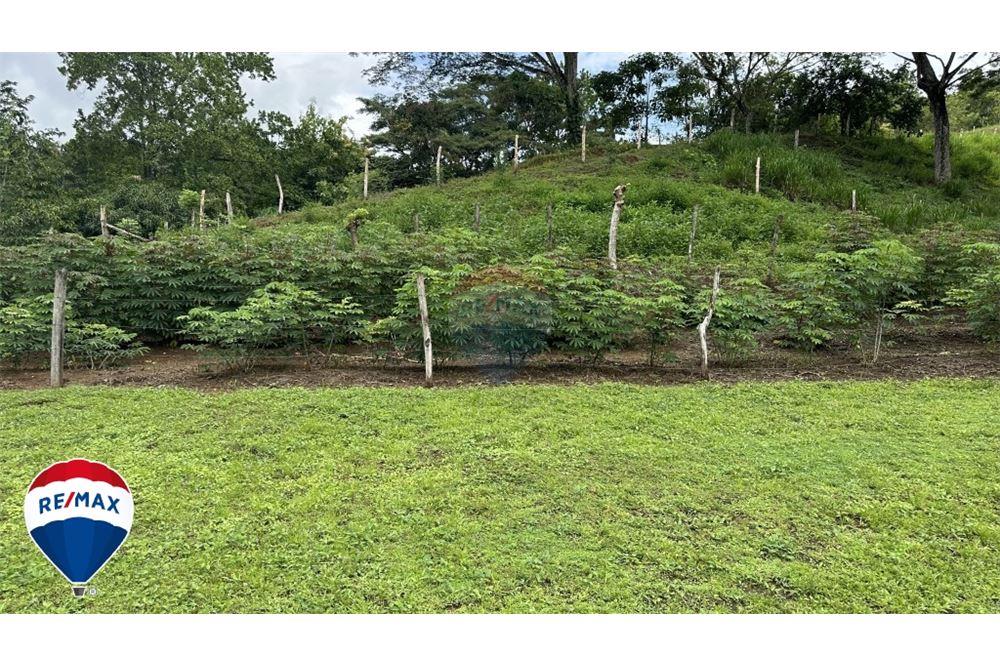 Commercio - Terreno - San José, San José, Costa Rica - Caribbean & Central Ameri - 16 - 90168030-67