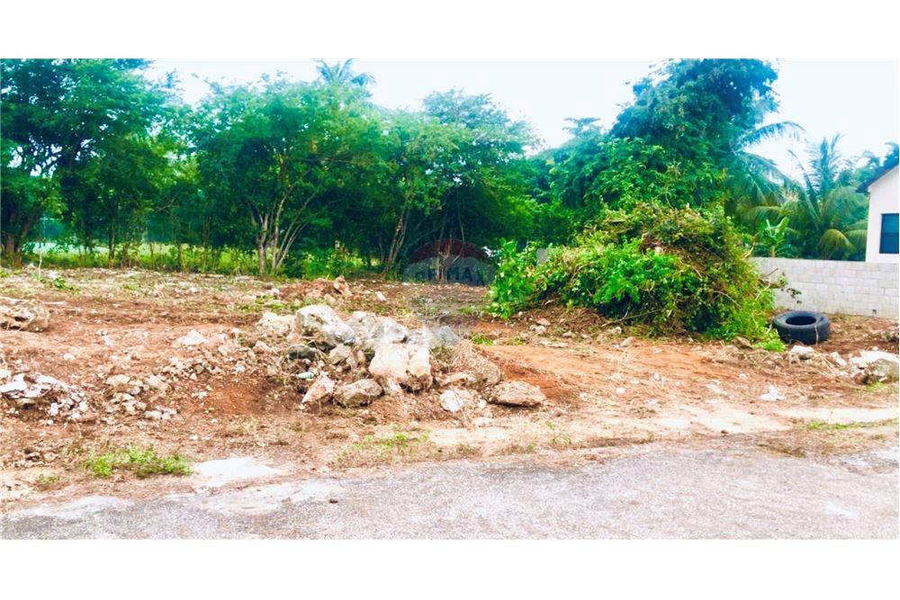 Commercieel - Grond - Lower Valley, Savannah, Kaimaninseln - Caribbean & Central Ameri - 5 - 90146033-43