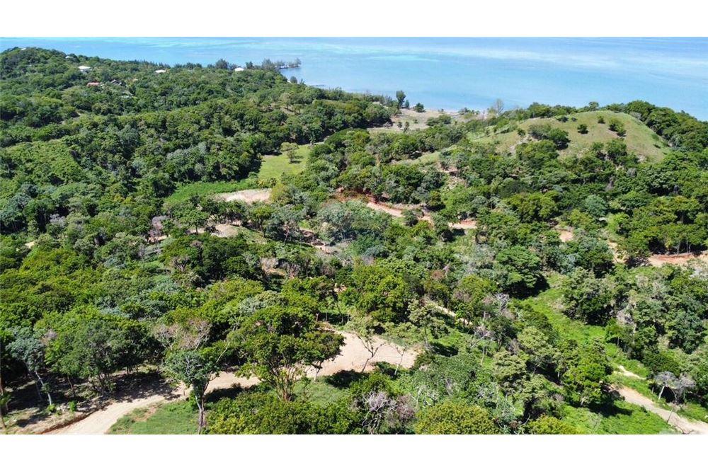 Lote - Venta - Roatan, Bay Islands, Honduras - 15 - 90143009-439