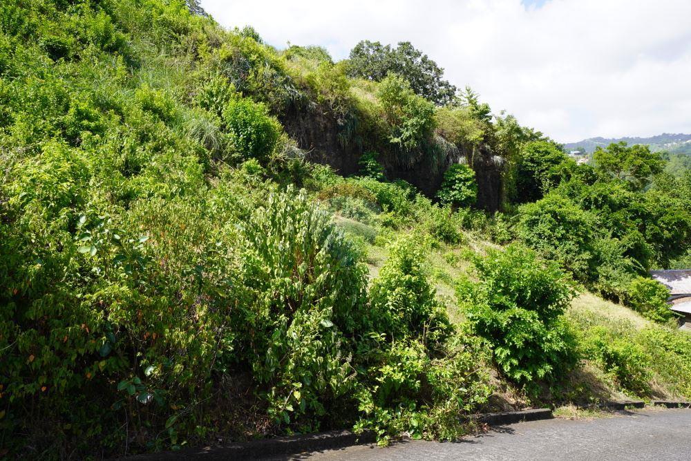 Commercial - Land - Arnos Vale, St Vincent, St Vincent and the Grenadines - Caribbean & Central Ameri - 5 - 90109001-327