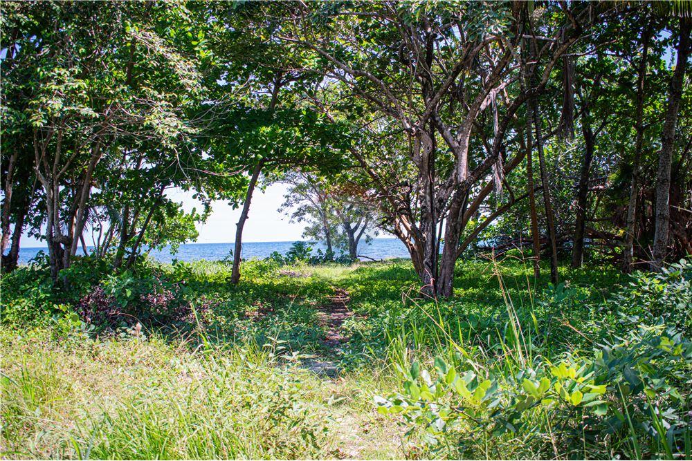 Comercial - Terreno - Placencia, Stann Creek District, Belice - Caribbean & Central Ameri - 14 - 90127003-302