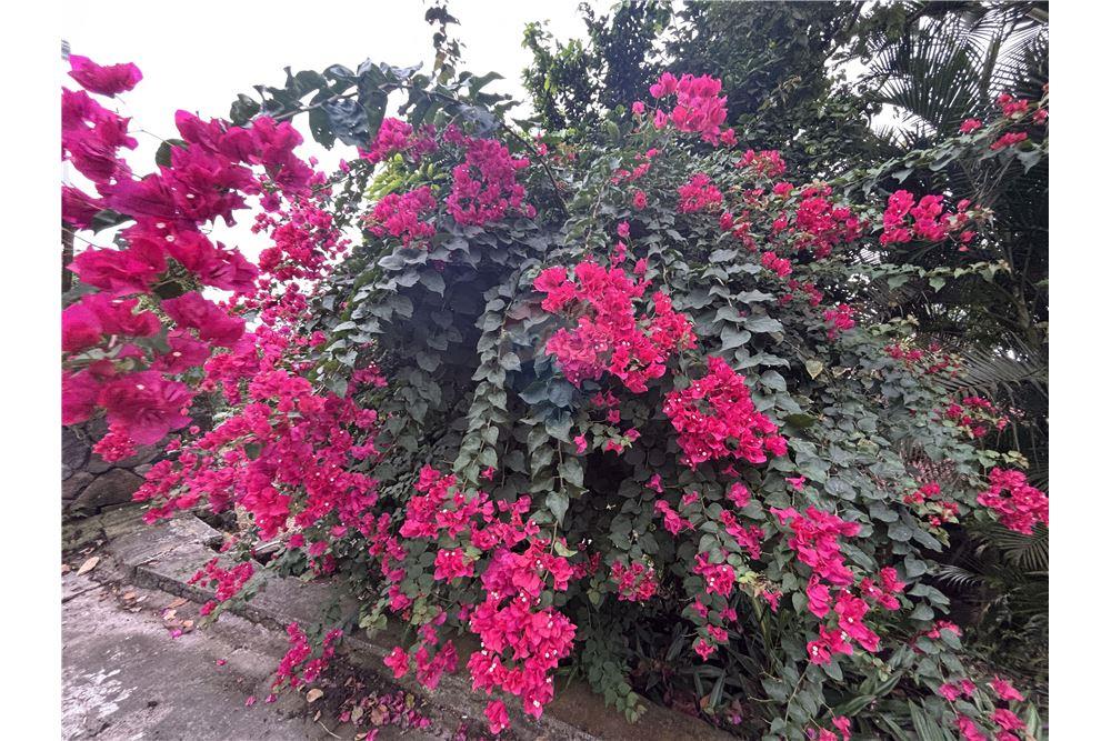 Villa - For Sale - Cay Hill, St Maarten, St. Maarten - 21 - 90144016-21