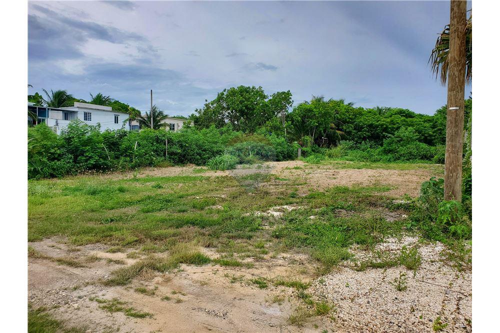Commercial - Land - Corozal Town, Corozal District, Belize - Caribbean & Central Ameri - 5 - 901411007-97