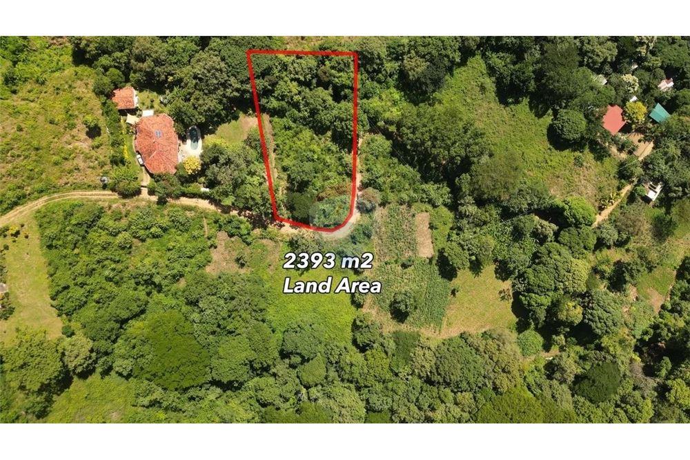 Commercial - Land - San Juan del Sur, Rivas, Nicaragua - Caribbean & Central Ameri - 1 - 90119008-104