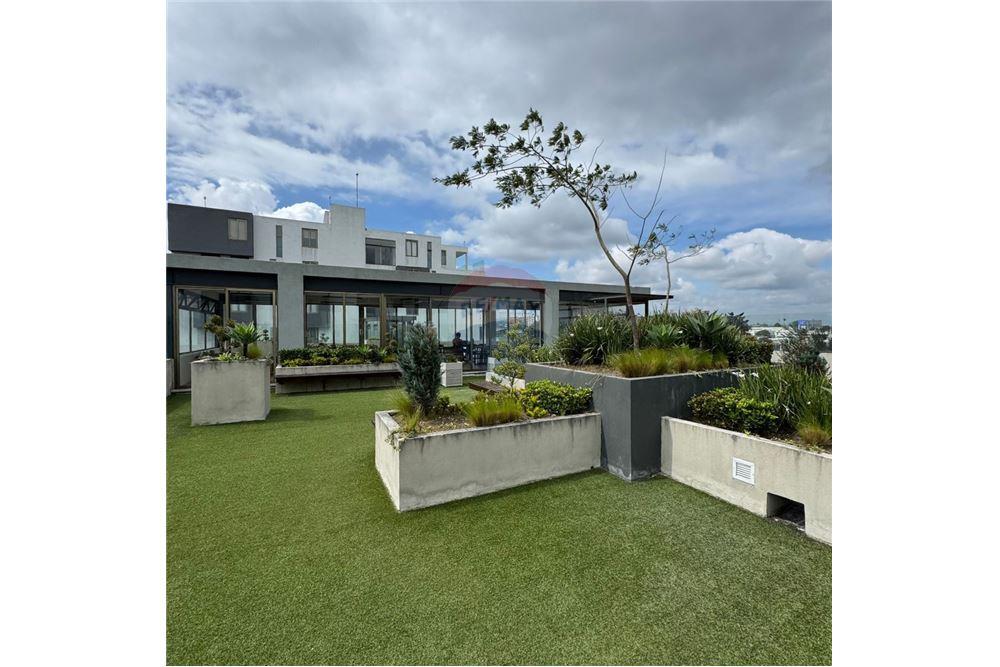 Condo/Apartment - For Sale - Zona 5, Guatemala, Guatemala - 6 - 902651001-20