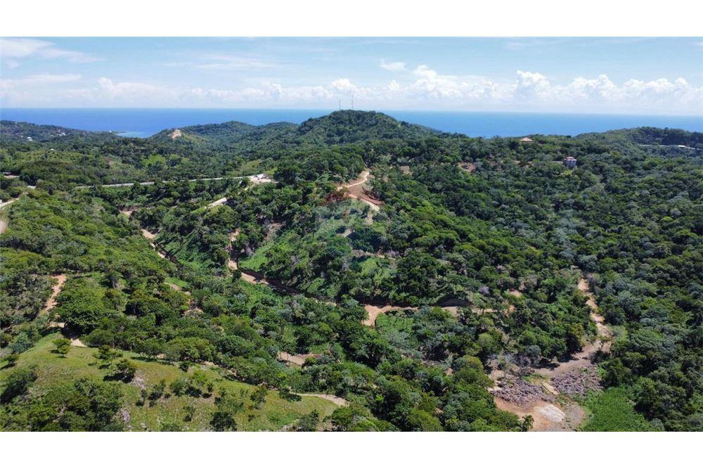 Land - For Sale - Roatan, Bay Islands, Honduras - 9 - 90143009-433
