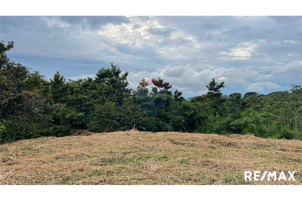 Commercio - Terreno - Puntarenas, Puntarenas - Puntarenas, Costa Rica - Caribbean & Central Ameri - 21 - 90168045-6