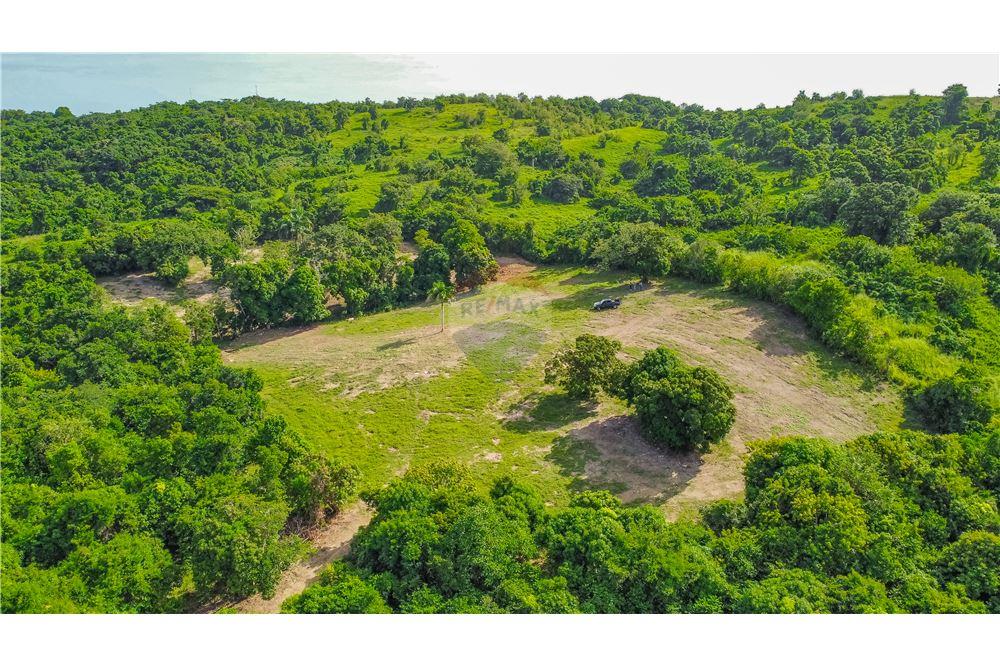 Commercial - Land - Rio Grande, Rio Grande, Puerto Rico - Caribbean & Central Ameri - 2 - 902461007-23