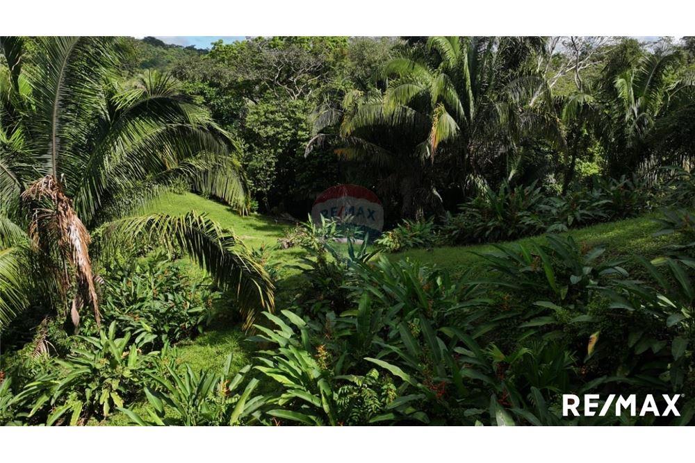 Comercial - Terreno - Parrita, Puntarenas - Parrita, Costa Rica - Caribbean & Central Ameri - 5 - 90168045-21