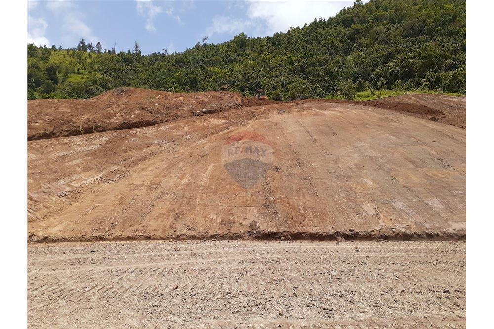 Land - For Sale - Barranquitas, Barranquitas, Puerto Rico - 5 - 90102087-2