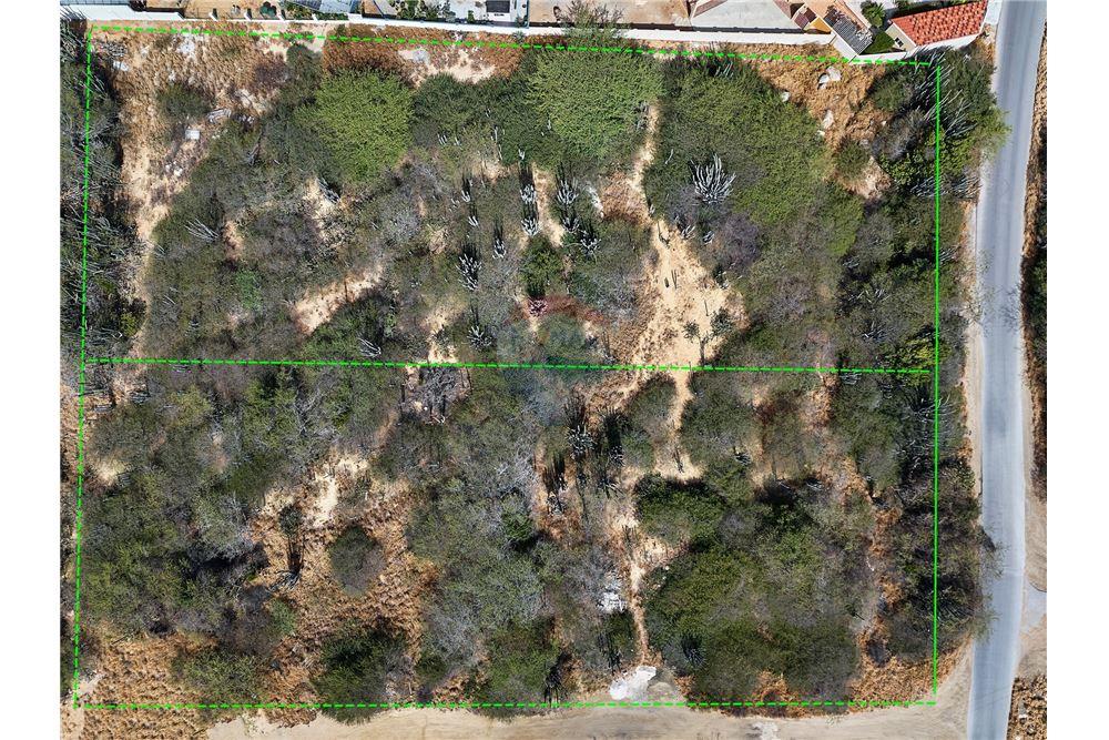 Land - For Sale - Santa Cruz, Aruba, Aruba - 3 - 90105005-512