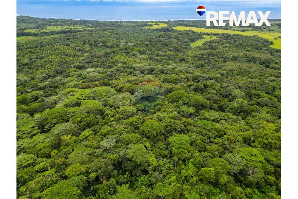 Commercial - Land - Parrita - Esterillos, Puntarenas - Parrita, Costa Rica - Caribbean & Central Ameri - 6 - 90168003-466