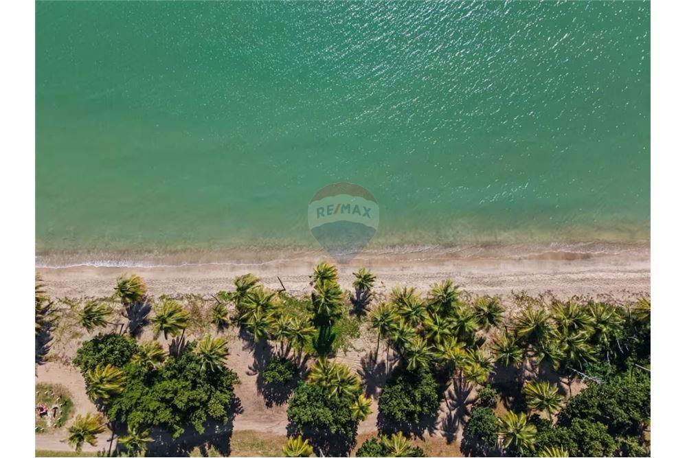 Volledig pand - Te Koop - Naguabo, Naguabo, Puerto Rico - 24 - 90102037-10