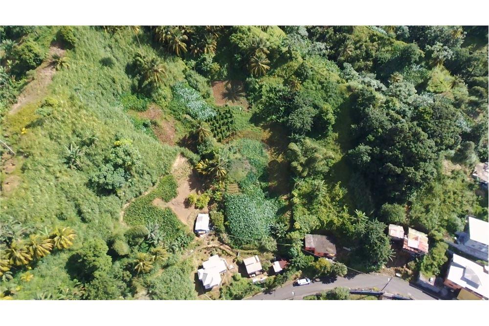 商业 - 土地 - Lowmans Windward, St Vincent, St Vincent and the Grenadines - Caribbean & Central Ameri - 13 - 90109001-320