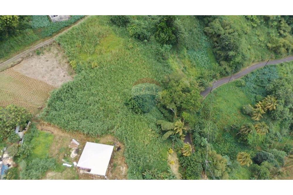 Commercial - Land - Mesopotamia, St Vincent, St Vincent and the Grenadines - Caribbean & Central Ameri - 4 - 90109001-324
