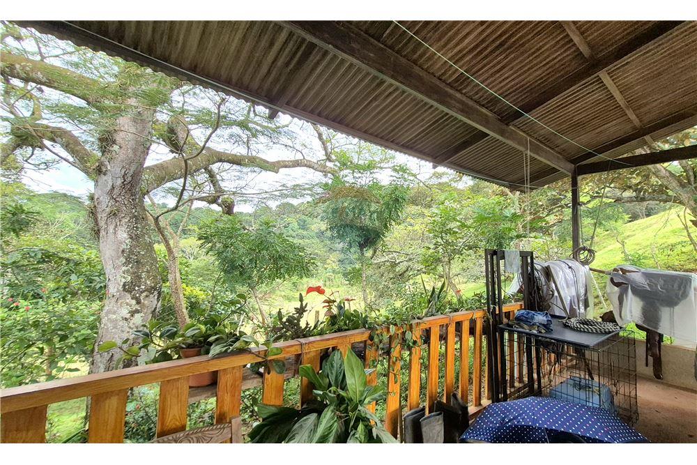 Residential - Villa - Atenas, Alajuela- Atenas, Costa Rica - Caribbean & Central Ameri - 6 - 90128007-191