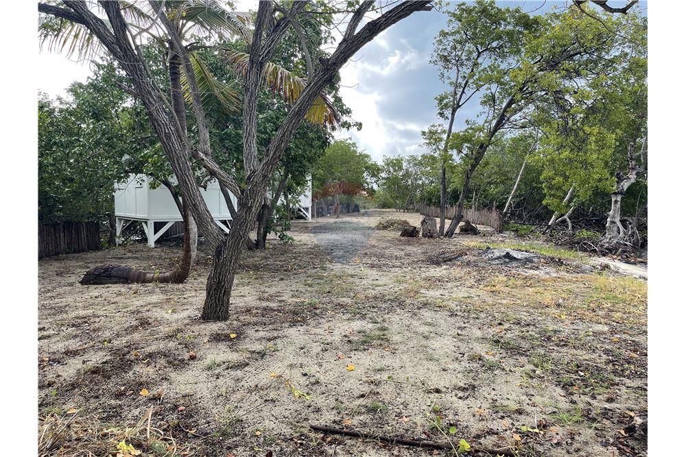 Commercial - Land - Placencia, Stann Creek District, Belize - Caribbean & Central Ameri - 9 - 90127016-276