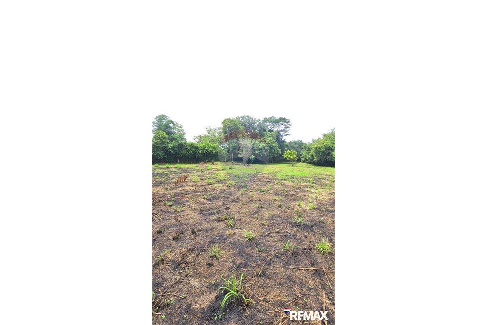 Commercial - Land - Jaco - Playa Hermosa, Puntarenas- Garabito, Costa Rica - Caribbean & Central Ameri - 17 - 90168005-700