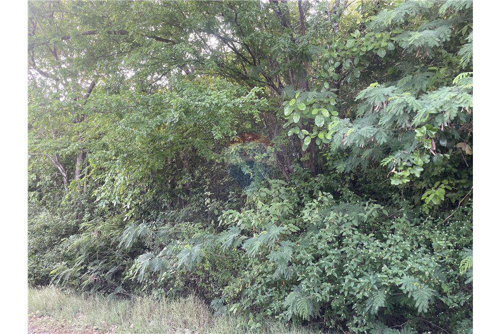 Commercial - Land - Cap Estate, Gros-Islet, St Lucia - Caribbean & Central Ameri - 2 - 902071001-204