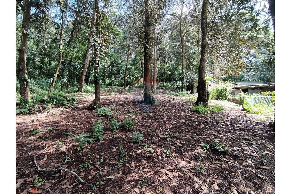 Land - For Sale - San Lucas Sacatepéquez, Sacatepéquez, Guatemala - 5 - 90129016-2