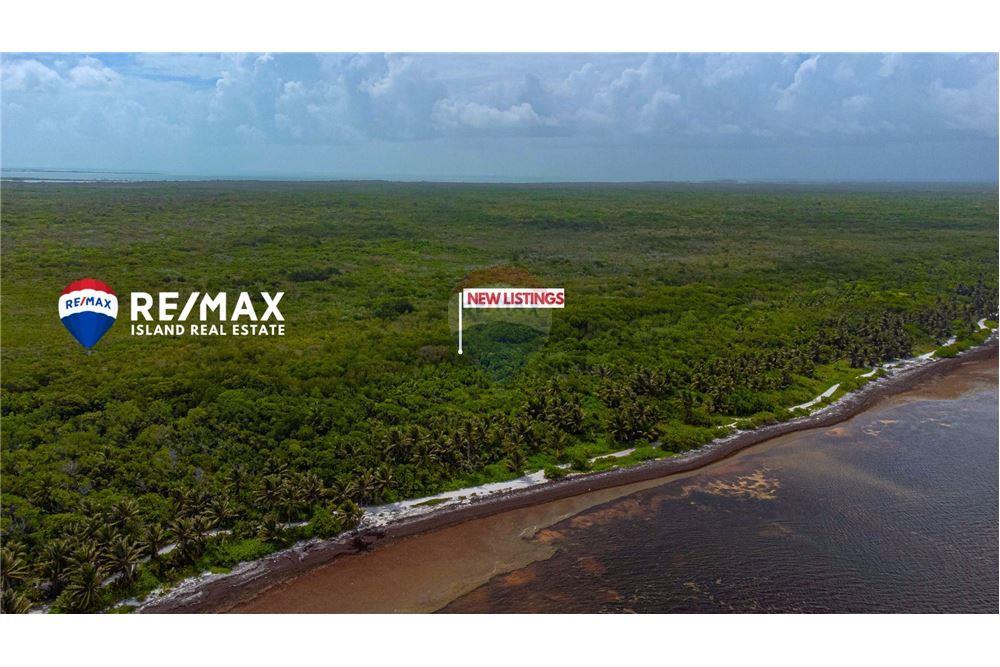 Commercial - Land - Ambergris Caye, Ambergris Caye, Belize - Caribbean & Central Ameri - 10 - 90135015-93