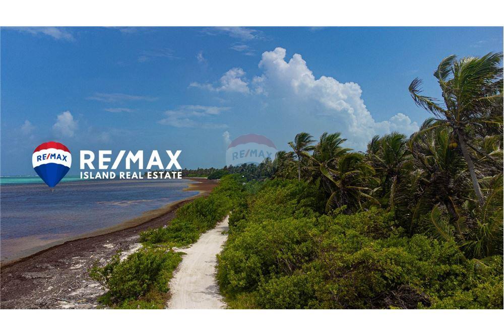 Commercial - Land - Ambergris Caye, Ambergris Caye, Belize - Caribbean & Central Ameri - 3 - 90135015-93