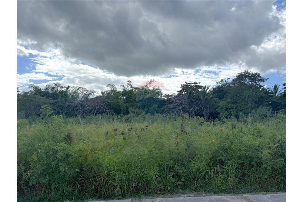 Land - For Sale - Yauco, Yauco, Puerto Rico - 4 - 90102025-332