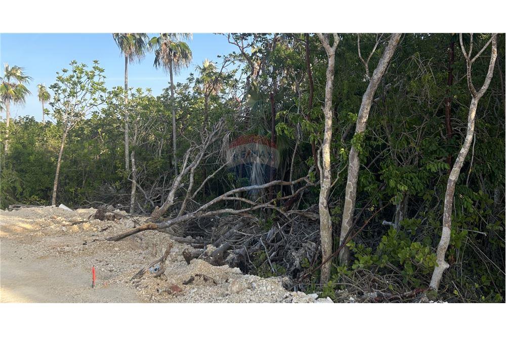 Land - For Sale - North East Coast, Rum Point, Cayman Islands - 4 - 90146014-110