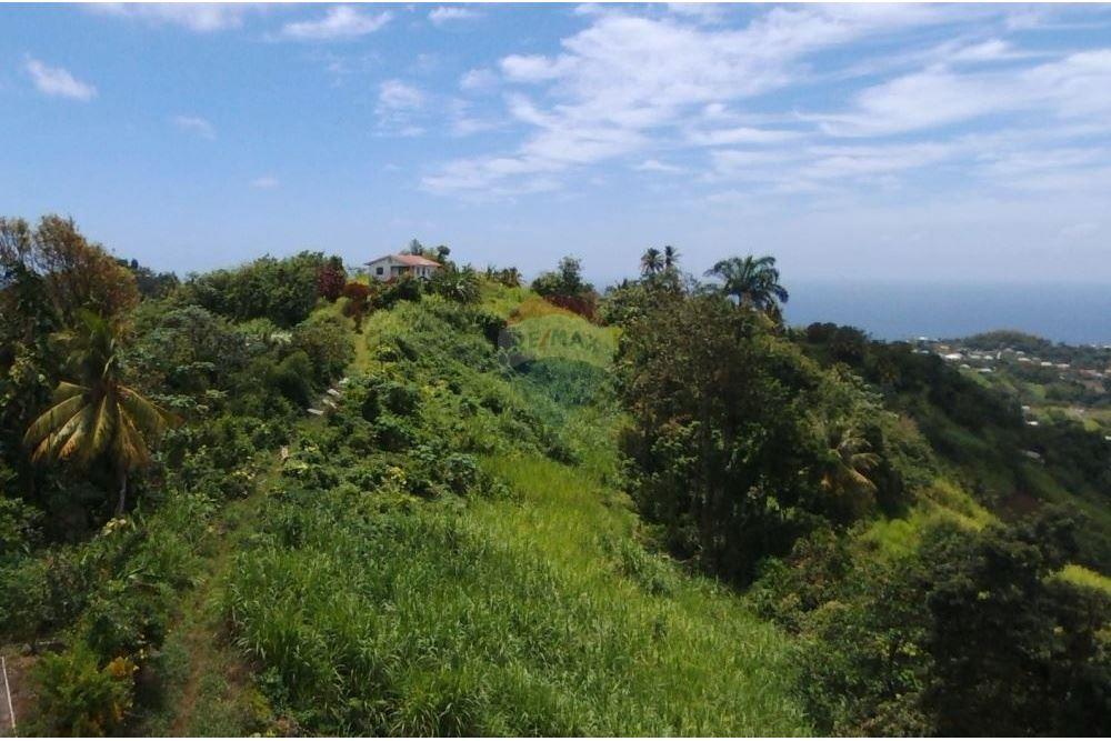 商业 - 土地 - Belmont, St Vincent, St Vincent and the Grenadines - Caribbean & Central Ameri - 1 - 90109001-315