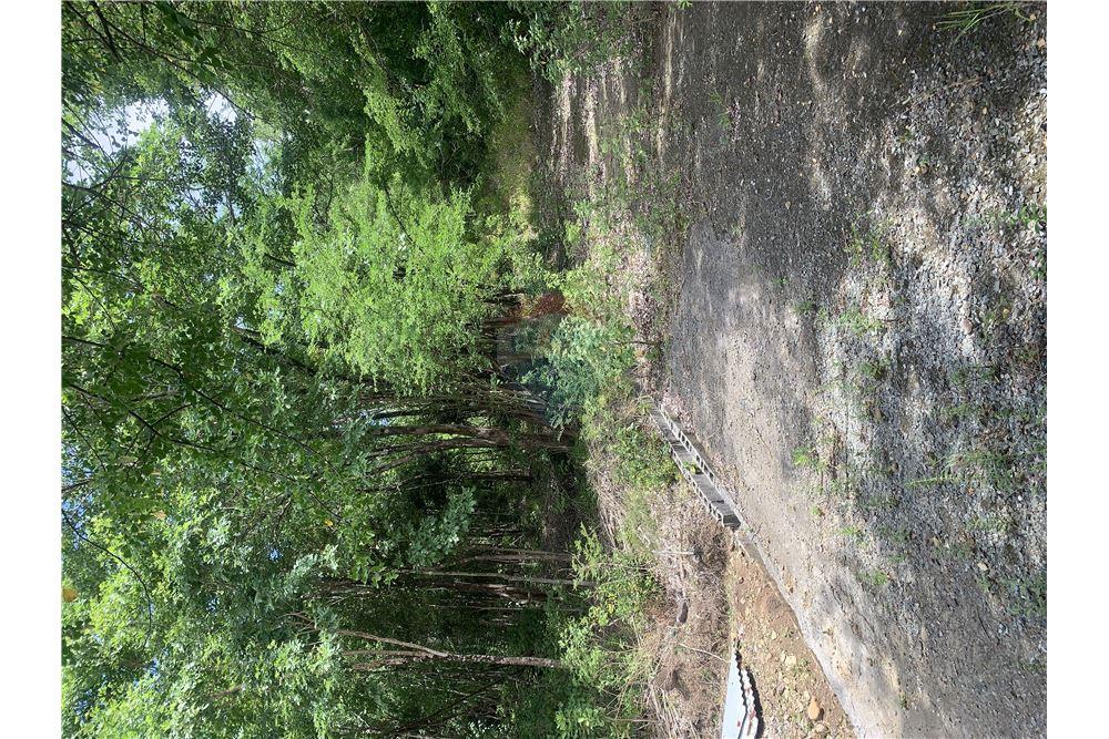 Commercial - Land - Gros Islet, Gros-Islet, St Lucia - Caribbean & Central Ameri - 6 - 902071001-212