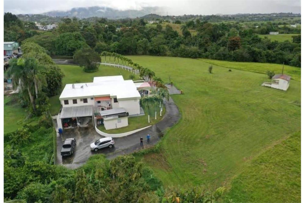 Villa - Venta - Las Piedras, Las Piedras, Puerto Rico - 3 - 90102054-18