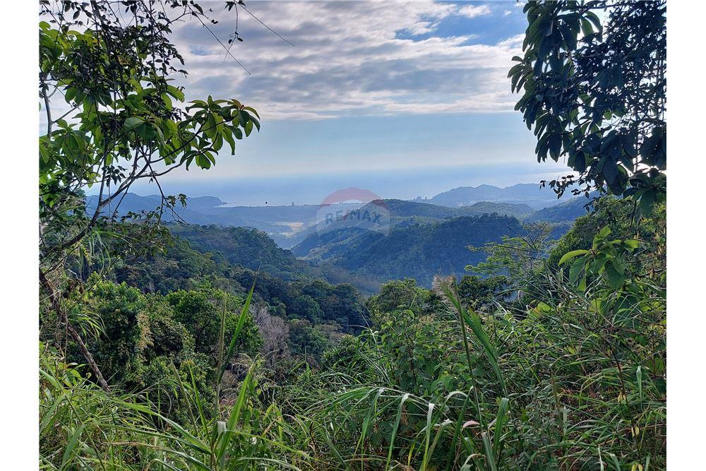 Surface commerciale - Autre terrain - San José, San José, Costa Rica - Caribbean & Central Ameri - 21 - 90168030-68